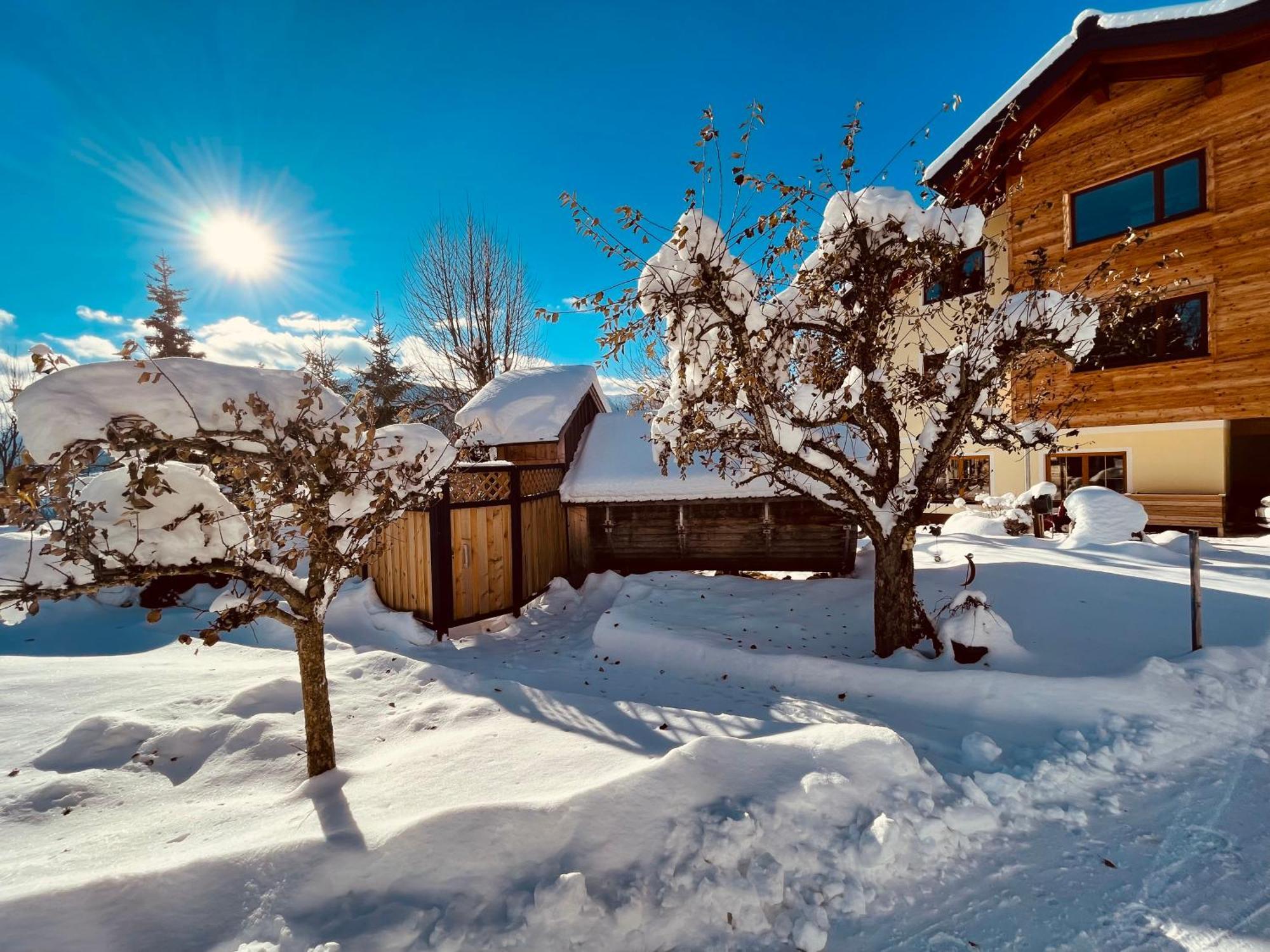 Pension Vorberghof- Bauernhofurlaub 람자우 암 다흐스타인 외부 사진