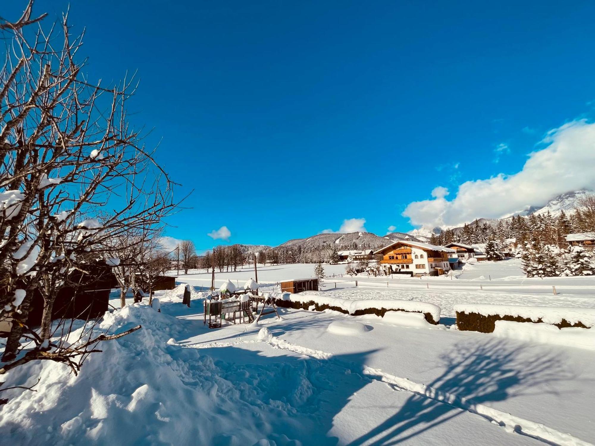 Pension Vorberghof- Bauernhofurlaub 람자우 암 다흐스타인 외부 사진