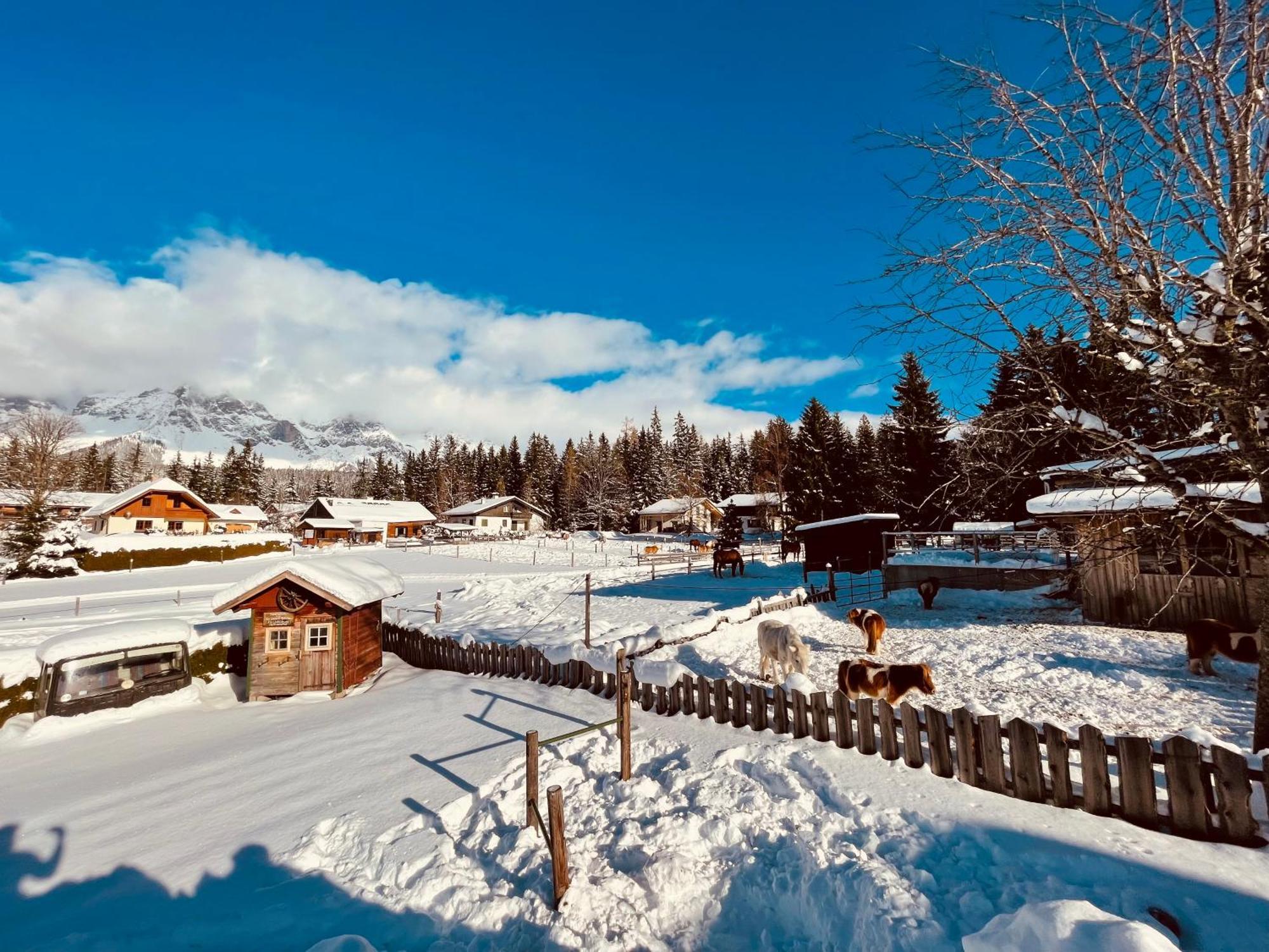 Pension Vorberghof- Bauernhofurlaub 람자우 암 다흐스타인 외부 사진
